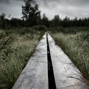 10-führende linien, planken, Sarek, Weg.jpg